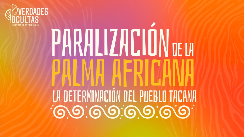 Paralización de la palma africana – La determinación del pueblo&nbsp;Tacana