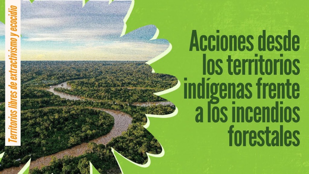 Acciones desde los territorios indígenas frente a los incendios&nbsp;forestales