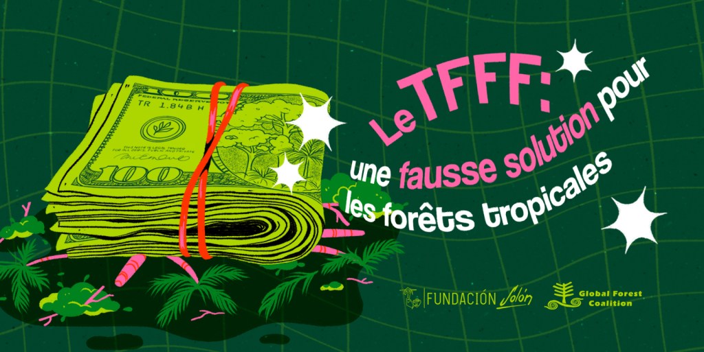 Le TFFF, une fausse solution pour les forêts&nbsp;tropicales