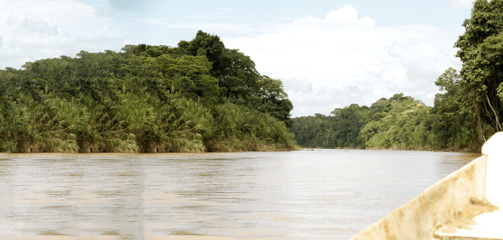 ¿Qué tipos de actores mineros reconoce el&nbsp;Estado?