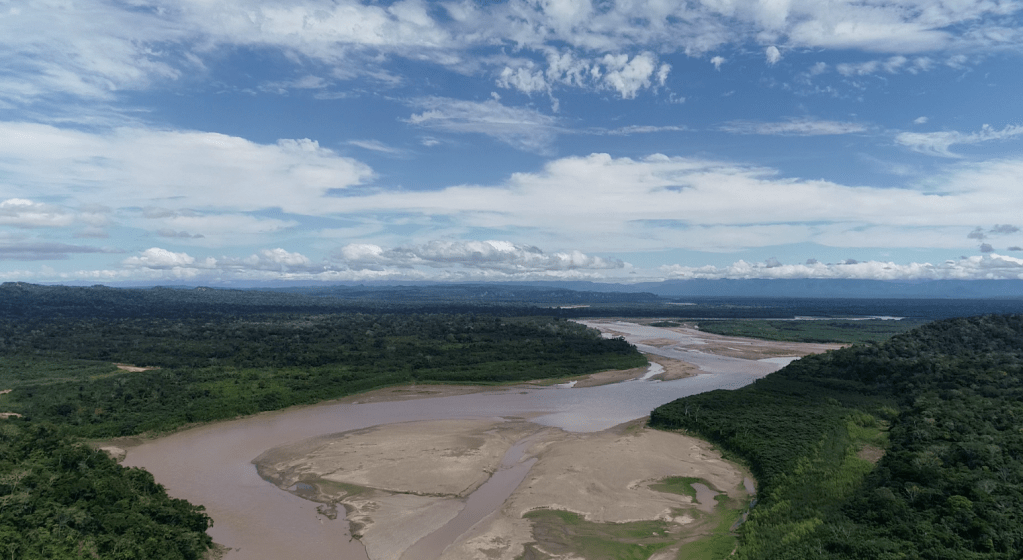 NO to TFFF, YES to Forest&nbsp;Rights