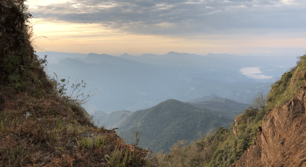 ¿Qué se viene&nbsp;ahora?
