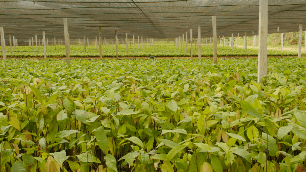 Los avances y desafíos en la consolidación de municipios y territorioslibres de&nbsp;minería