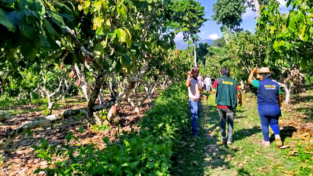 Construcción de propuestas colectivas hacia&nbsp;futuro