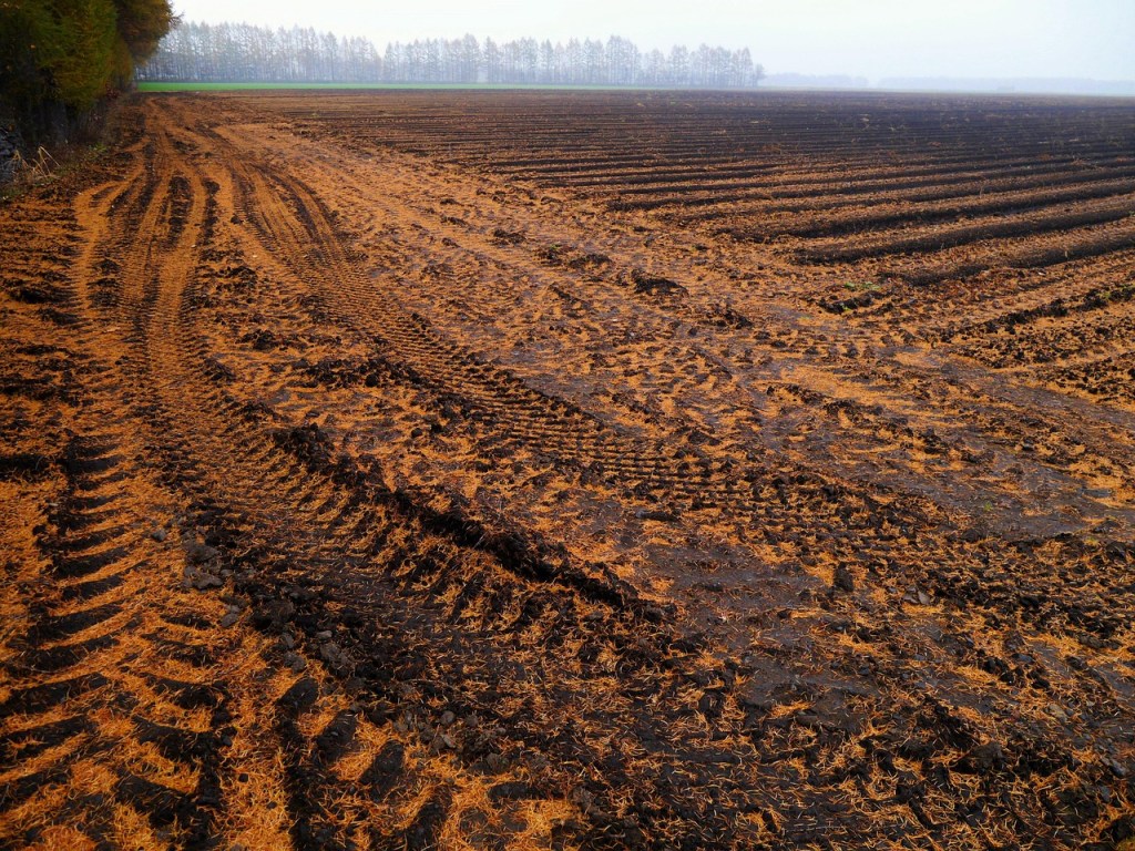 ¿Paraguay 2.0 en&nbsp;Bolivia?